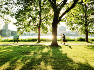 boston | HWH Environmental